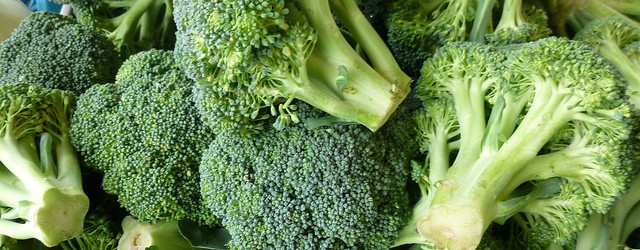 weight loss food broccoli
